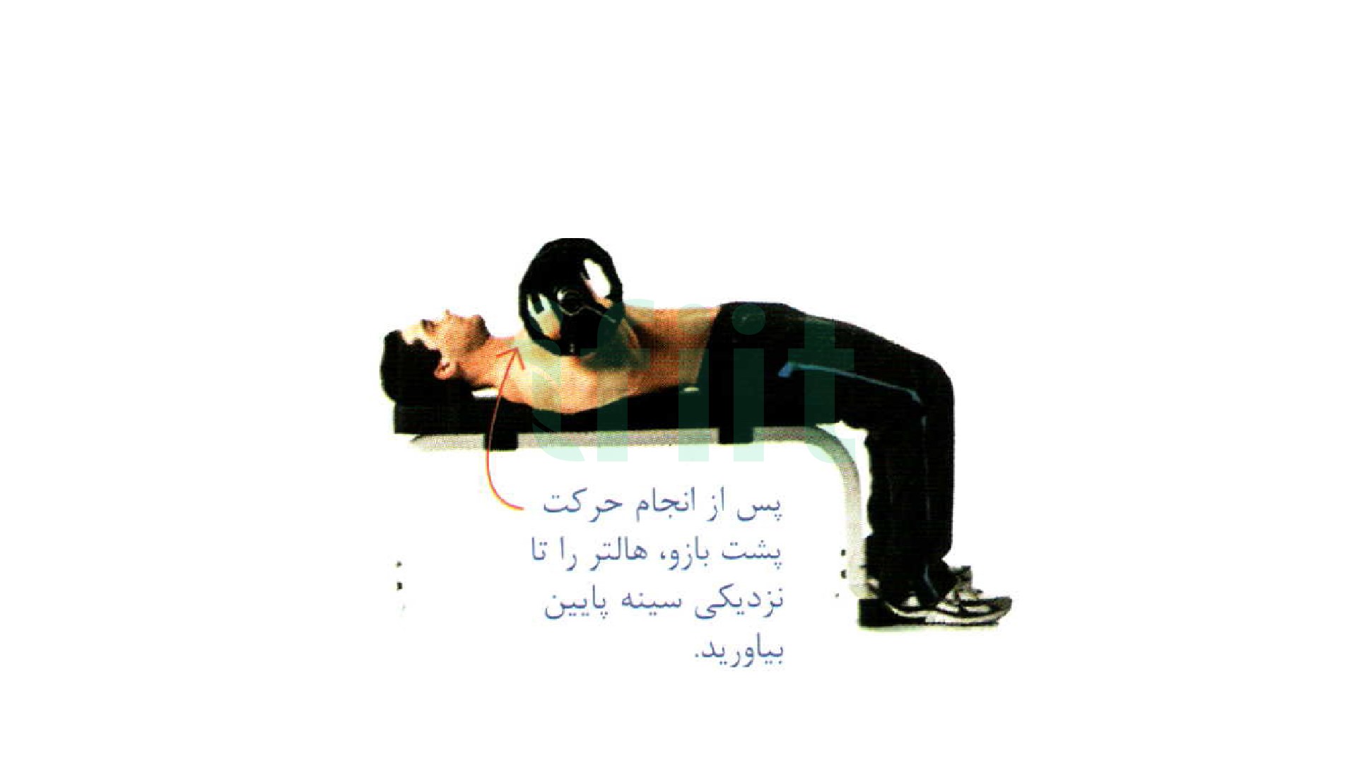 تبدیل حرکت پشت بازو خوابیده به پشت به پرس سینه دست جمع 