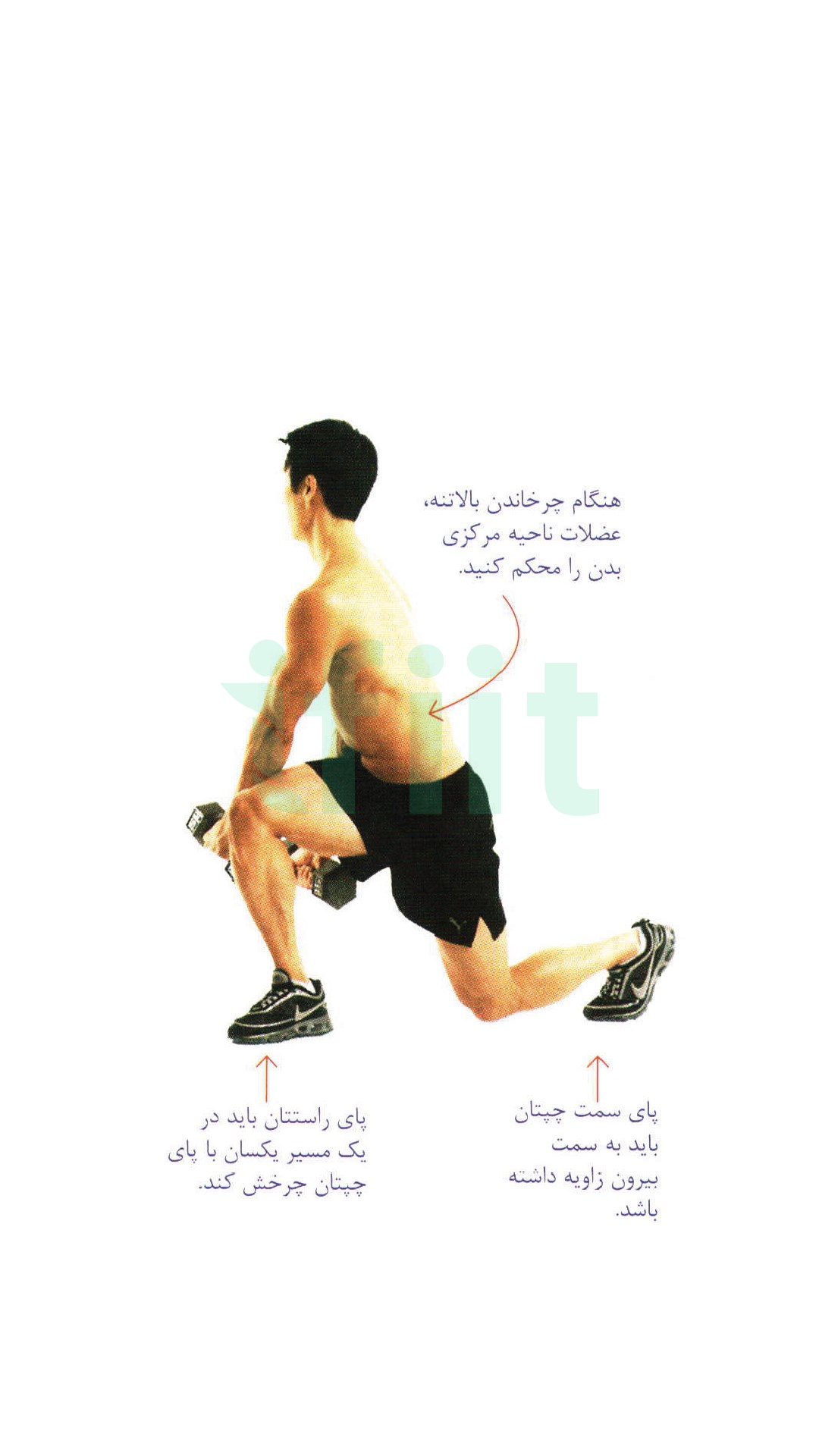 لانچ با دمبل همراه چرخش 