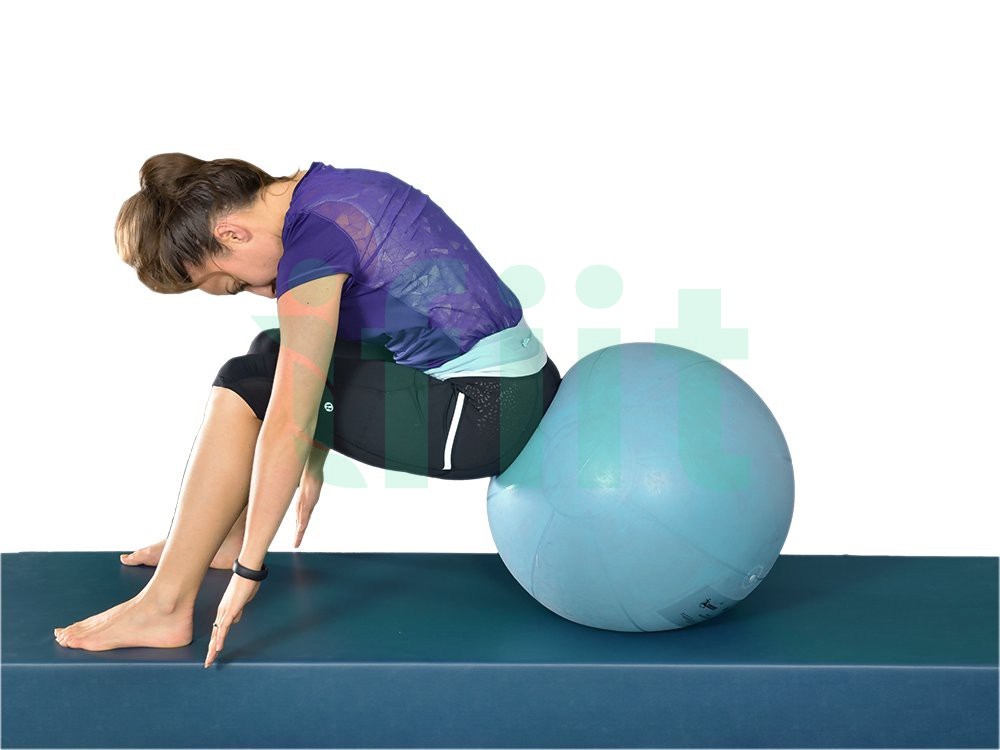 Abdominal Prep - Curl Up - Hands Forward (Ball)
