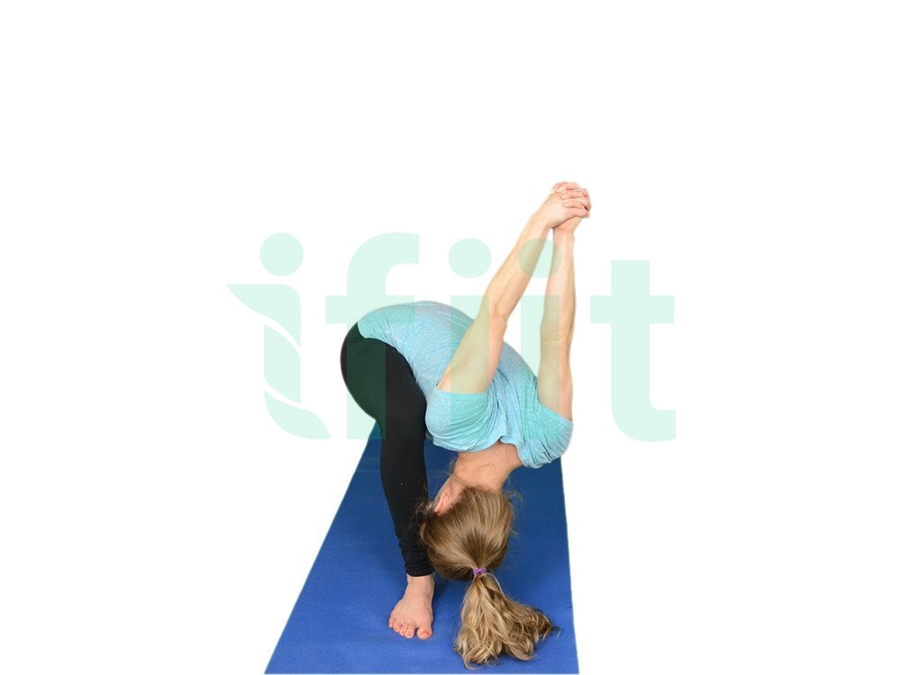 Warrior 2 ⇒ Lunge Yoga Seal